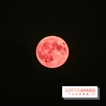 Qu'est-ce que cette micro pleine lune rose, visible dans la nuit du 12 au 13 avril 2025 ? 