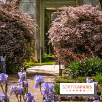 10 parcs et jardins à Paris et en Île-de-France à découvrir absolument en mai 2025 - jardin des plantes