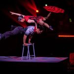 Le Cirque Phénix célèbre 25 ans de créations avec le spectacle Millesime