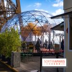 Bulle d'automne de la tour Eiffel : arbre géant et jeu grandeur nature au sommet de Paris