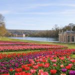 La Journée de la Tulipe au Château de Dampierre en Yvelines