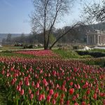 Des milliers de tulipes au Château de Dampierre en Yvelines ! Journée de la tulipe et Fête des plantes 