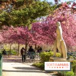 Fête de la Nature à Paris et en Ile-de-France 2026 : les bons plans gratuits des 20 ans