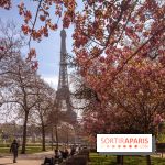 Les cerisiers du Trocadéro fleurissent avec de l'avance