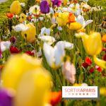 Où voir des tulipes à Paris ? 