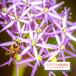 La Fête de la Nature et du bien-être animal vous attend ce samedi en Val-de-Marne