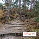 La Nuit des Forêt 2026 en Forêt de Versailles entre ateliers, jeux et balades gratuits