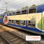 Transports Paris Île-de-France : perturbations métro et RER du 20 au 26 juillet 2026