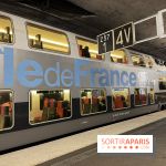 Transports en Île-de-France : Métro, RER : quelles lignes éviter ce week-end des 17 et 18 octobre ?