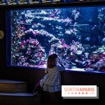 L'Aquarium Tropical de la Porte Dorée se renouvelle 