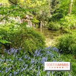 Les Jardins du musée Albert-Kahn qui nous emmènent en voyage