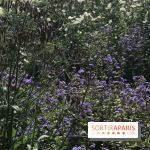 Distribution gratuite de 50.000 sachets de graines à Paris !