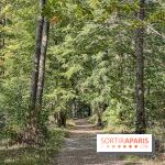 Forêt