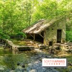 Fête de la Nature 2023 dans les Yvelines (78) : Le programme