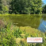 Fête de la Nature à Issy-les-Moulineaux, le programme gratuit