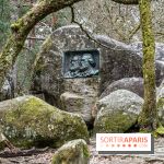 Nuit des Forêts à Fontainebleau 2023 entre art, nature et découvertes gratuites