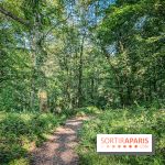 The Nights of the Forests 2023 dans le Val-D'oise (95): le programme