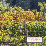 La Fête de la vigne à Suresnes 