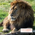 Halloween aux Parcs Zoologiques de Lumigny : Une Aventure Mystérieuse vous attend !