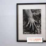 Sebastião Salgado présente son exposition "Genesis Platinum" à la Galerie Polka 