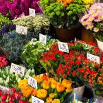 Soutien aux petits commerces : Bruno Le Maire demande aux bailleurs de renoncer au loyer de novembre