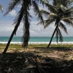 Covid : en Martinique, de nouvelles mesures annoncées face à l’explosion du nombre de cas