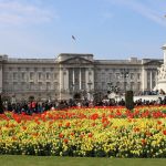 Jubilé de platine d'Elizabeth II : Diana Ross, Elton John... où suivre en direct le concert géant ?