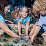 Aquarium Sea life offre 15% de réduction pour ses 15 ans