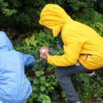 Rendez-Vous aux Jardins 2024 à l'Exploradôme, le musée scientifique & ludique à Vitry-sur-Seine (94)