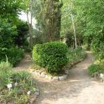 Rendez-vous aux Jardins 2024 : découvrez le jardin botanique et médicinal de Sannois (95)