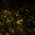 Noël 2025 : un jardin enchanté s'illumine au musée de l'Outil (95)