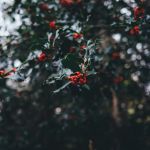 Gouinesmas Village, un marché de Noël queer à la communale de Saint-Ouen (93)