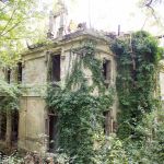 Le bois de la solitude et les ruines de son mystérieux château : une balade romantique en région parisienne