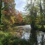 Découvrez le jardin privé d'un centre spirituel à Versailles pour les Rendez-Vous aux Jardins 2026