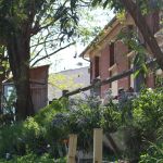 Rendez-Vous aux Jardins 2026 au Shakirail : découvrez les jardins de ce tiers-lieux parisien