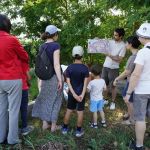 Rendez-Vous aux Jardins 2026 : balade sensorielle en famille dans un jardin pédagogique des Hauts-de-Seine