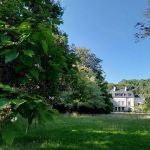 Ce jardin anglo-chinois fraichement classé, vous ouvre exceptionnellement ses portes pour les Rendez-Vous aux Jardins 2026