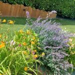 Créez votre " Parfum d'âme" lors d'un atelier champêtre pour les Rendez-Vous aux Jardins 2026 