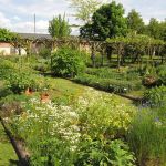 Explorez ce conservatoire botanique à l'occasion des Rendez-Vous aux Jardins 2026