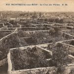Connaissez-vous l'histoire des murs à pêches ? Voici pourquoi ce site est classé Jardin Remarquable