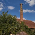 En Seine-et-Marne, la ferme du Coulevrain, vieille de 900 ans, prépare sa renaissance