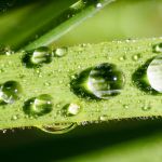 Les adresses eco-friendly à Paris 