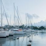 Coronavirus : en Guadeloupe, de nouvelles restrictions face à la hausse des cas