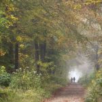 Journées du patrimoine 2018 à la forêt de Saint-Germain