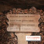 Les Catacombes de Paris