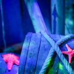 Règlement de contes : l'escape game fantastique chez Pandore & Associés