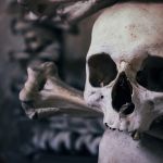 Halloween 2025 à Paris : les expériences et sorties terrifiantes en Île-de-France