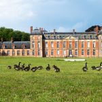 Exposition de Lélia Demoisy au Domaine de Chamarande : Récits de Forêts