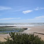 Pays-de-la-Loire : la liste des plages ouvertes depuis le 16 mai