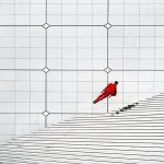 The Levitation Project : Forgetmat dévoile ses œuvres en lévitation à l'Espace Commines